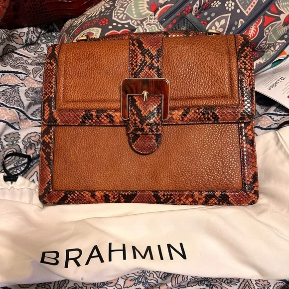 Brahmin - Picture 1 of 2